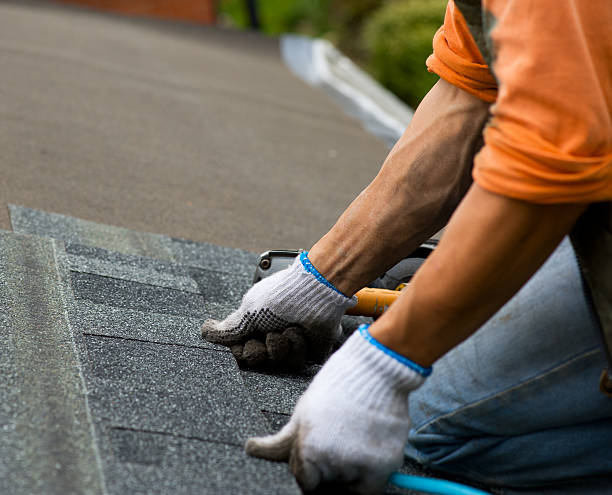 Best Shingle Roofing Installation  in Kincheloe, MI